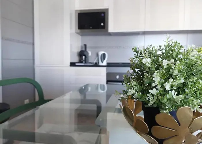 Rocha Dreamhouse 2 - Folgado & Borges Lda * Portimao