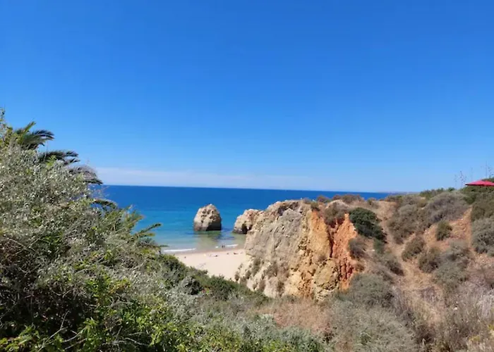 Rocha Dreamhouse 2 - Folgado & Borges Lda Portimao